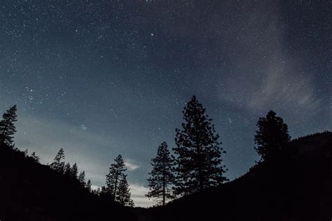 wallpaper starry sky, night, trees, landscape HD : Widescreen : High Definition : Fullscreen