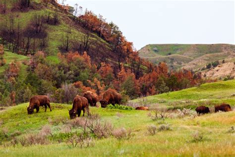 15 Coolest National Parks In The Midwest - Midwest Explored