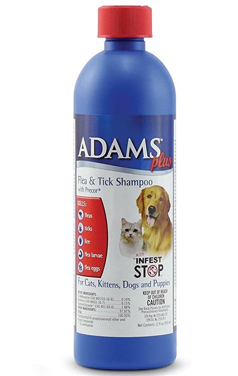 Best Flea Treatment for Dogs: Your Options and How They Stack Up