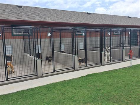 ATTABOY Boarding Kennels Facility | Dog boarding facility, Dog kennel designs, Dog boarding kennels