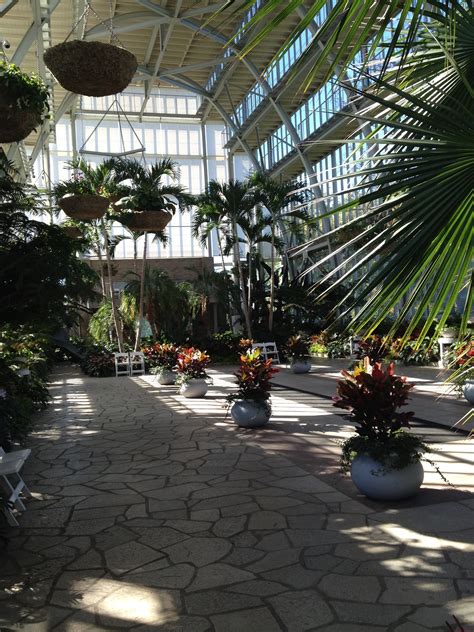 Glass Conservatory Garden Plants Jewel Box St. Louis | Conservatory ...