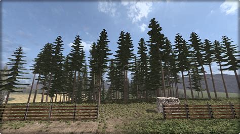 Forest village mods download - worldwidemens