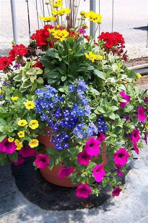 Colorful Container Garden Design