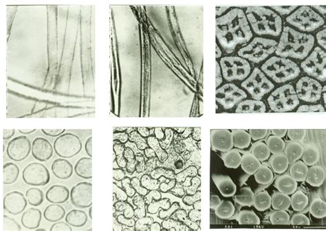 Types Of Fibers With Pictures & Their Properties