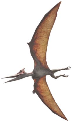 Pteranodon | Jurassic Park Wiki | FANDOM powered by Wikia