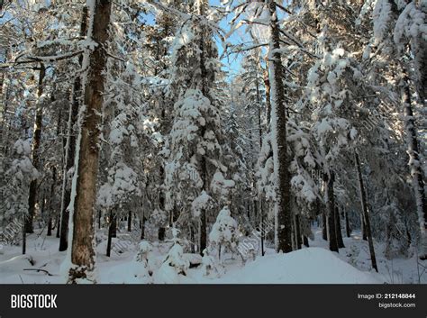 Winter Taiga After Image & Photo (Free Trial) | Bigstock