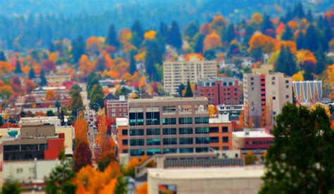 Downtown Eugene Oregon : r/tiltshift