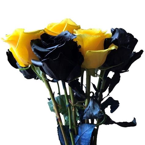 Mixed Black and Yellow Roses – Flower Explosion