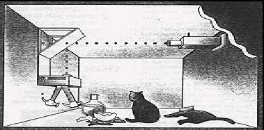 Schrodinger Cat: A powerful meme, which still crops up in scientific ...