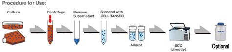 CELLBANKER 1 (Serum containing cryopreservation medium) | ZENOGEN PHARMA