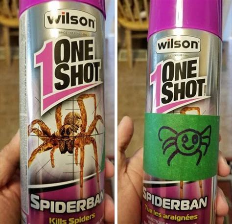 My sister's best friend has a huge fear of spiders : r/funny