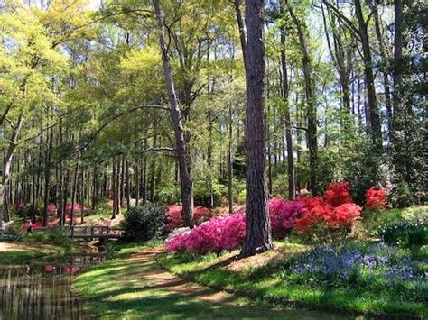 Callaway Gardens - Great Runs