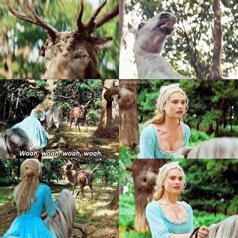 Cinderella. on Instagram: “[#Cinderella - 2015] — ok but the horse in ...