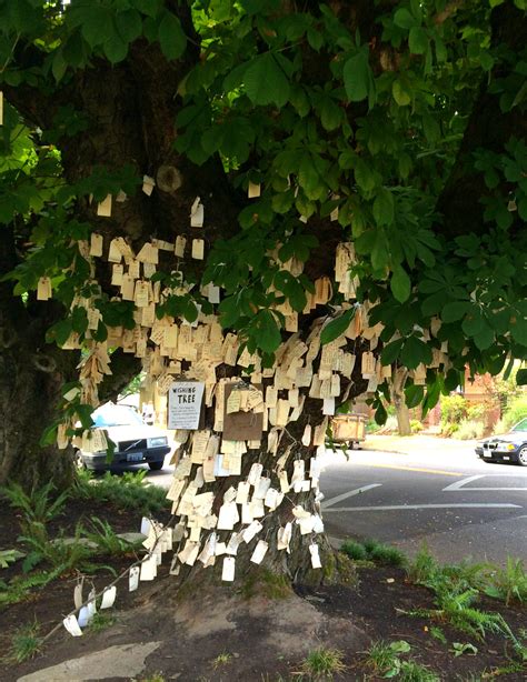 The Wishing Tree | Kristi Does PDX: Adventures in Portland, OR