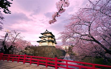 Japanese Castle Wallpapers - Top Free Japanese Castle Backgrounds - WallpaperAccess