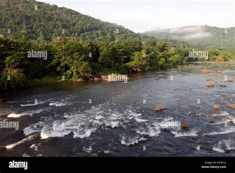 Chalakkudi chalakudy river flowing at vazhachal forest ; Kerala Stock ...