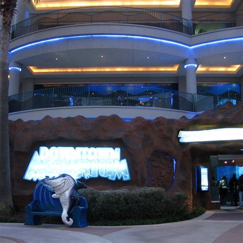 Downtown Aquarium Houston Tickets | Tiqets