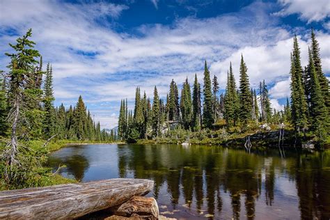 Explore the Beauty of Mount Revelstoke National Park