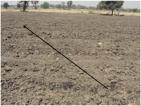 Tillage erosion involves the progressive down-slope movement of soil ...