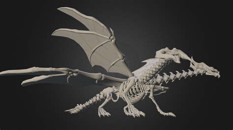 Skeleton Dragon - 3D model by Cheng-yu (@jprf99) [be59d66] - Sketchfab