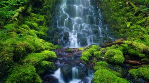 41+ Animated Waterfall Wallpaper with Sound