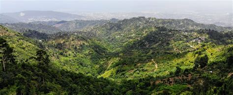 Blue Mountains National Park - Budget Tours Jamaica