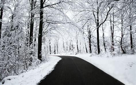 road, Snow, Black, White, Winter, Forest, Nature Wallpapers HD ...