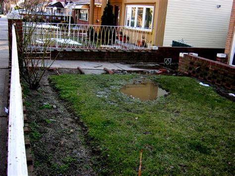 Yard Drainage: Common Problems, Solutions, and Advice