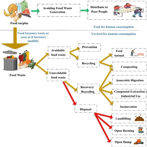 Food Waste Diagram