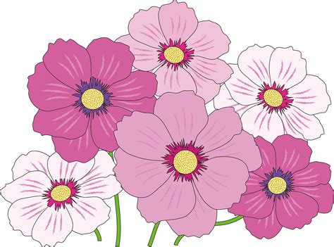 Pink and white flower clipart 20 free Cliparts | Download images on Clipground 2024