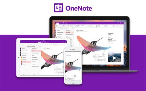 OneNote for Windows 10 updated with new features for Insiders