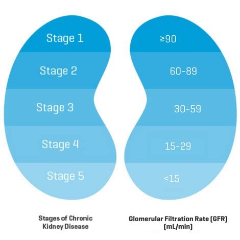 Stage 4 Chronic Kidney Disease (CKD) | My Kidney Journey