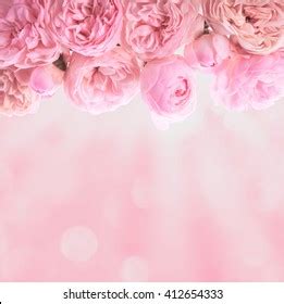 Pink Roses Border Wedding Background Design Stock Photo 412654333 | Shutterstock