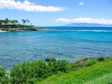 Kapalua Bay Snorkeling Secrets! The Complete Guide to Maui Snorkeling!