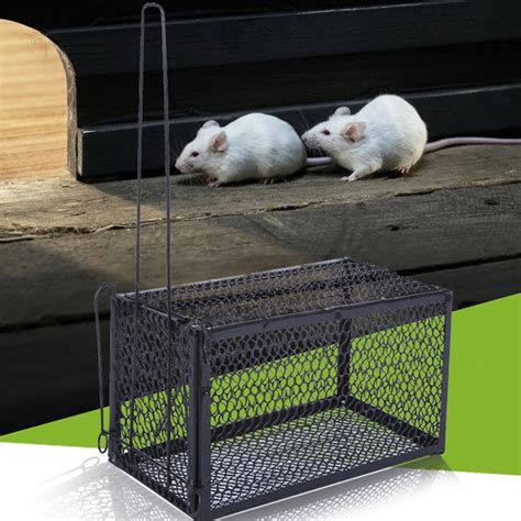 New Rat Cage Mice Rodent Animal Control Catch Bait Hamster Mouse Trap Humane Live Home High ...