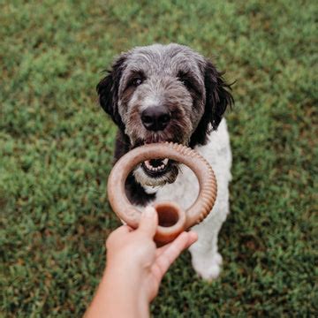 All Products | Benebone: Durable Dog Chew Toys Made in the USA ...