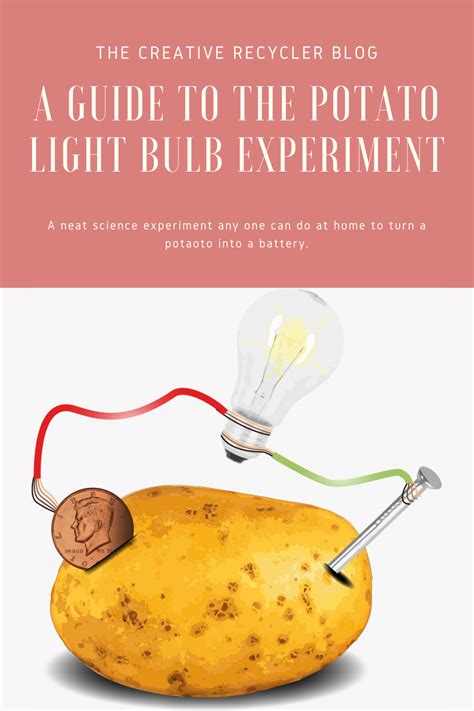 A Guide to the Potato Light Bulb Experiment | 1, 2 Potato | Potato battery science project, Cool ...