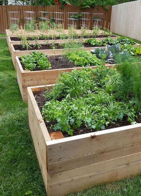 45 Affordable DIY Design Ideas for a Vegetable Garden | My desired home ...