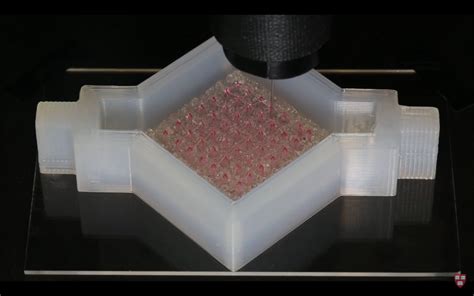 Bioprinting Gets a Boost from Thick 3D Printed Human Tissues - 3D Printing Industry