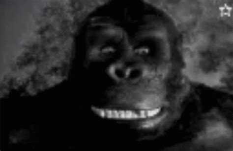 King Kong Monkey Laughing GIF - King Kong Monkey Laughing Monkey ...