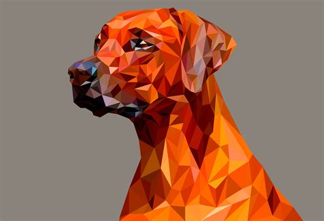 Dog Polygon Facets Wallpaper,HD Abstract Wallpapers,4k Wallpapers,Images,Backgrounds,Photos and ...