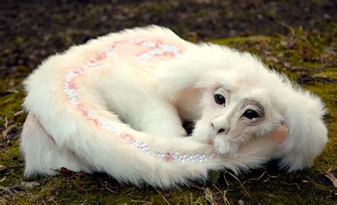 You Can Get A Falkor The Luck Dragon From 'The Neverending Story' That ...