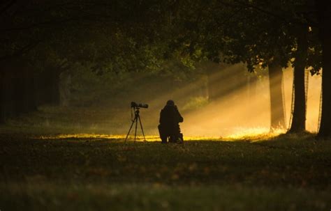 Best Tripod For Landscape Photography