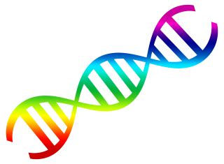 Dna PNG, Dna Transparent Background - FreeIconsPNG