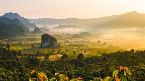 Sunrise with Fog at Phu Langka in Northern Thailand, Mountain View of ...