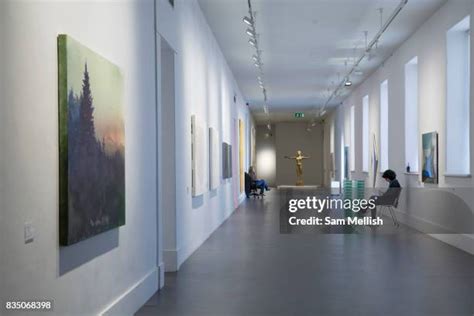 470 Irish Museum Of Modern Art Stock Photos, High-Res Pictures, and ...