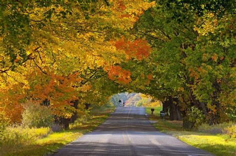 Falling for Michigan: Five Ways to Enjoy the Fall Foliage | Pure ...