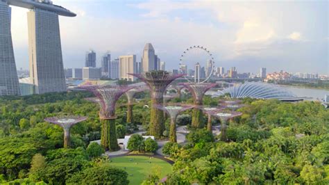 Featured Project: Gardens by the Bay Supertrees - Greenroofs.com