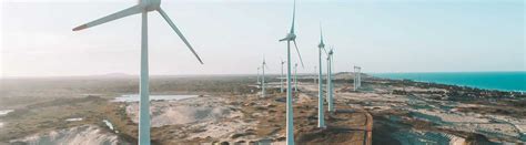 Environmental Impact of Wind Energy