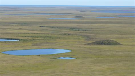 The Bering Land Bridge Formed Much Later Than Previously Thought - Eos